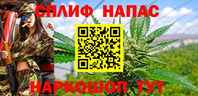эйфоретик Обь