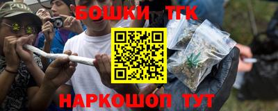 крисы Моздок