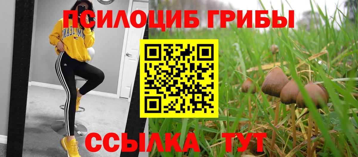 Галлюциногенные грибы GOLDEN TEACHER  Галлюциногенные грибы MAGIC MUSHROOMS  Шатура  Вход с VPN 